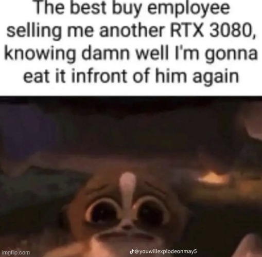 mmm graphics cards yummy | image tagged in gifs,memes,funny,shitpost,madagascar,best buy | made w/ Imgflip meme maker