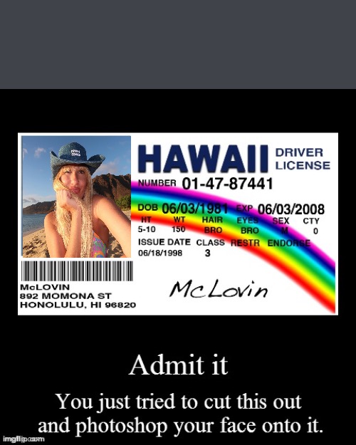 Hawaii ID | image tagged in hawaii id | made w/ Imgflip meme maker