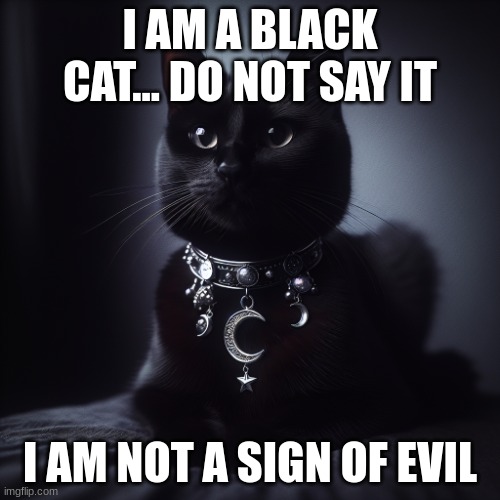 Black Cats | I AM A BLACK CAT... DO NOT SAY IT; I AM NOT A SIGN OF EVIL | image tagged in black cat wearing a silver moon collor | made w/ Imgflip meme maker