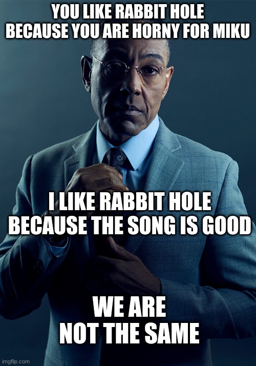 Gus Fring we are not the same | YOU LIKE RABBIT HOLE BECAUSE YOU ARE HORNY FOR MIKU; I LIKE RABBIT HOLE BECAUSE THE SONG IS GOOD; WE ARE NOT THE SAME | image tagged in gus fring we are not the same | made w/ Imgflip meme maker