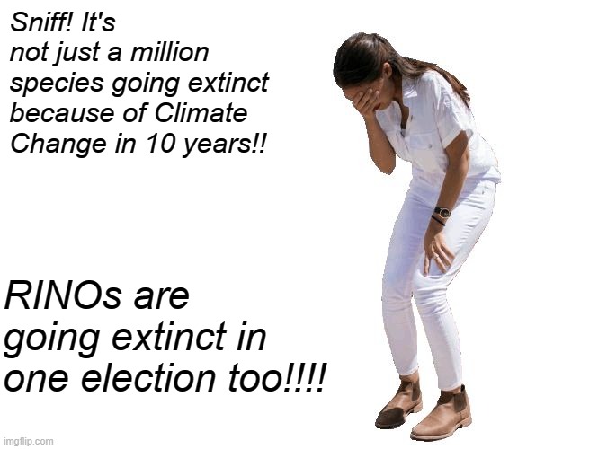 I had a dream about what upsets AOC... | Sniff! It's not just a million species going extinct because of Climate Change in 10 years!! RINOs are going extinct in one election too!!!! | image tagged in aoc cries | made w/ Imgflip meme maker