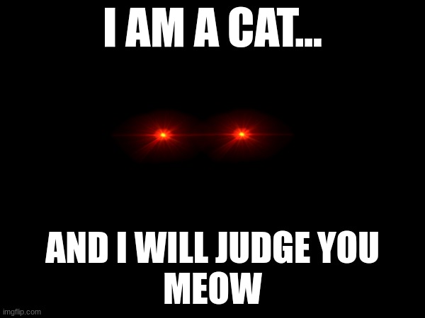 Black Cats | I AM A CAT... AND I WILL JUDGE YOU
MEOW | image tagged in cats will judge you | made w/ Imgflip meme maker