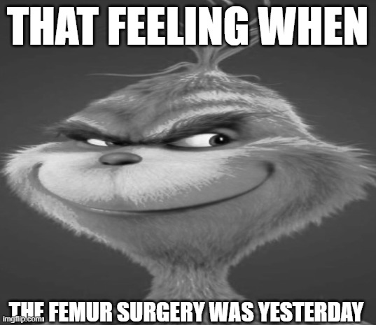 grey grinch | THAT FEELING WHEN; THE FEMUR SURGERY WAS YESTERDAY | image tagged in blue grinch | made w/ Imgflip meme maker