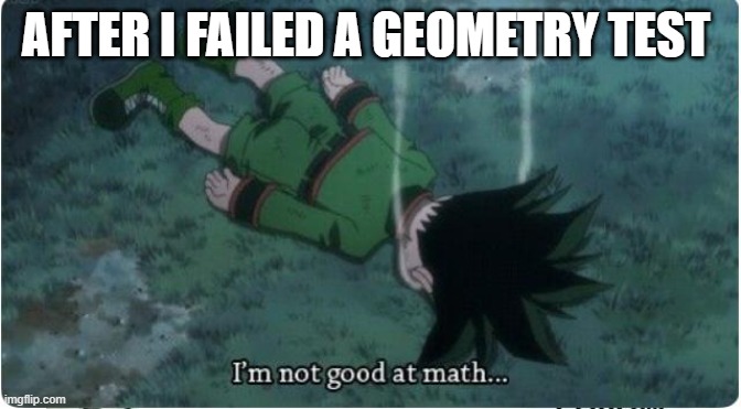 stupid | AFTER I FAILED A GEOMETRY TEST | image tagged in i m not good at math,hxh,gon,anime | made w/ Imgflip meme maker