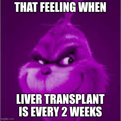 purple grinch | THAT FEELING WHEN; LIVER TRANSPLANT IS EVERY 2 WEEKS | image tagged in purple grinch | made w/ Imgflip meme maker