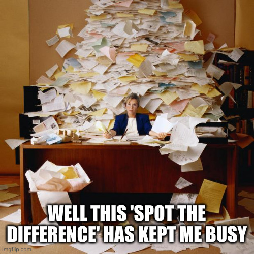 Busy | WELL THIS 'SPOT THE DIFFERENCE' HAS KEPT ME BUSY | image tagged in busy | made w/ Imgflip meme maker