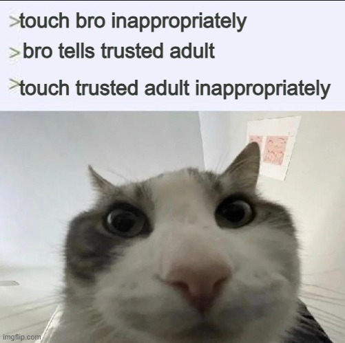 . | touch bro inappropriately; bro tells trusted adult; touch trusted adult inappropriately | image tagged in cat looks inside | made w/ Imgflip meme maker