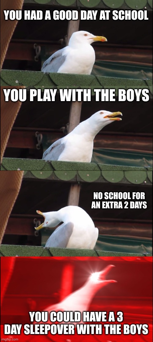 Inhaling Seagull Meme | YOU HAD A GOOD DAY AT SCHOOL; YOU PLAY WITH THE BOYS; NO SCHOOL FOR AN EXTRA 2 DAYS; YOU COULD HAVE A 3 DAY SLEEPOVER WITH THE BOYS | image tagged in memes,inhaling seagull | made w/ Imgflip meme maker