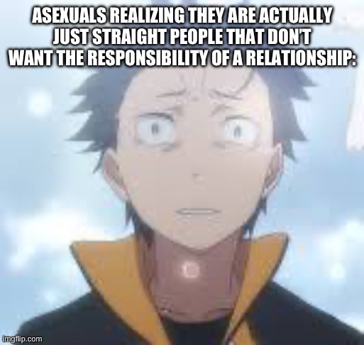 bruh can the fog come already | ASEXUALS REALIZING THEY ARE ACTUALLY JUST STRAIGHT PEOPLE THAT DON’T WANT THE RESPONSIBILITY OF A RELATIONSHIP: | image tagged in bruh can the fog come already | made w/ Imgflip meme maker