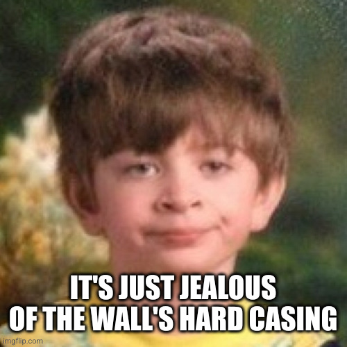 Annoyed face | IT'S JUST JEALOUS OF THE WALL'S HARD CASING | image tagged in annoyed face | made w/ Imgflip meme maker