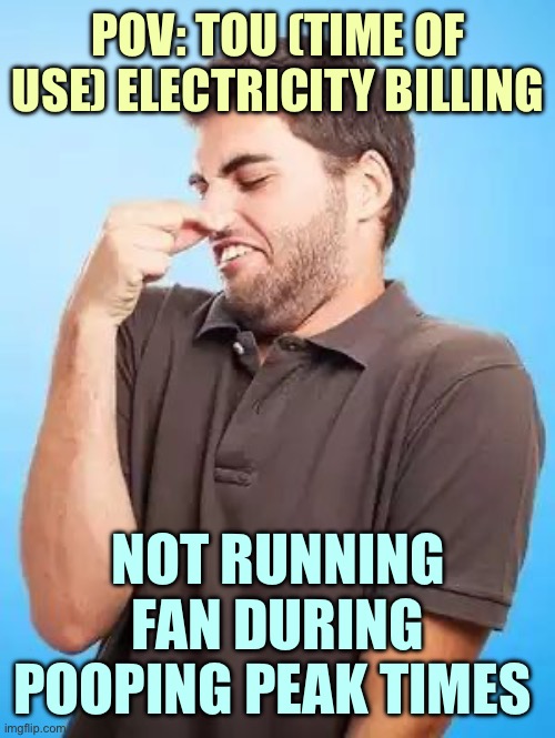 That's Stinky Man | POV: TOU (TIME OF USE) ELECTRICITY BILLING; NOT RUNNING FAN DURING POOPING PEAK TIMES | image tagged in that's stinky man | made w/ Imgflip meme maker