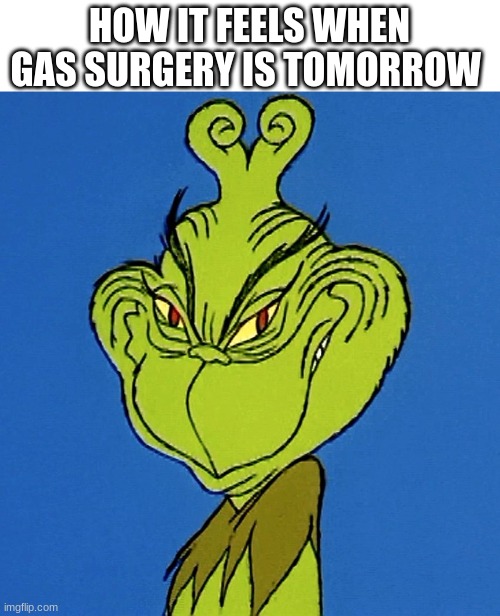 Grinch Smile | HOW IT FEELS WHEN GAS SURGERY IS TOMORROW | image tagged in grinch smile | made w/ Imgflip meme maker