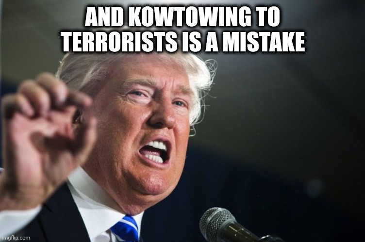 donald trump | AND KOWTOWING TO TERRORISTS IS A MISTAKE | image tagged in donald trump | made w/ Imgflip meme maker