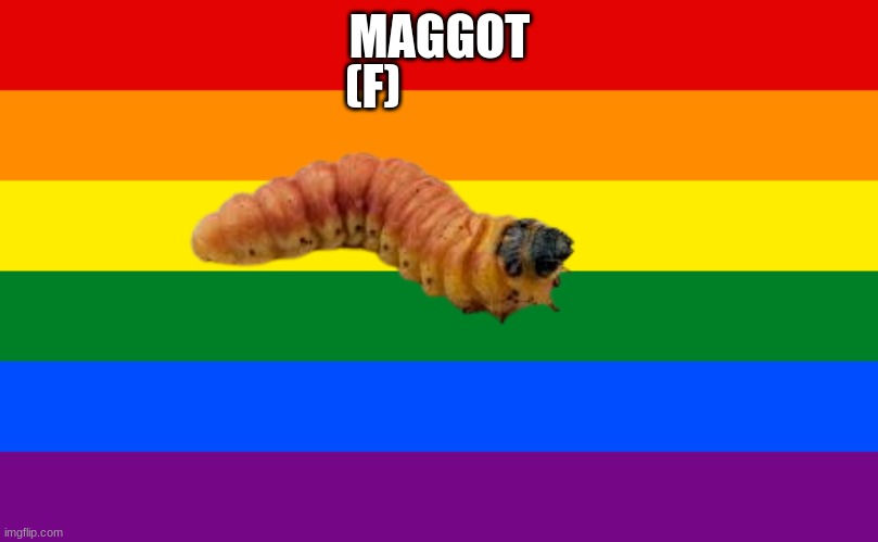 Pride flag | MAGGOT (F) | image tagged in pride flag | made w/ Imgflip meme maker