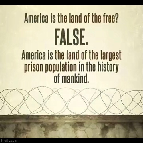 America is not free | image tagged in america,usa,anarchism | made w/ Imgflip meme maker