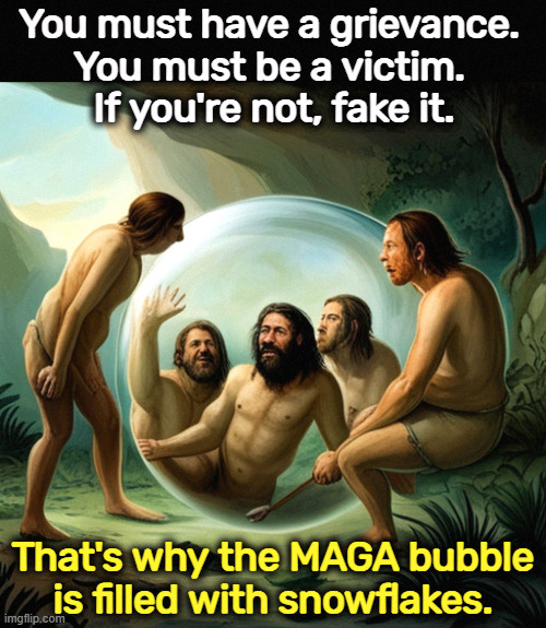 You must have a grievance. 
You must be a victim. 
If you're not, fake it. That's why the MAGA bubble is filled with snowflakes. | image tagged in grievance,victim,complaint,maga,bubble,snowflakes | made w/ Imgflip meme maker