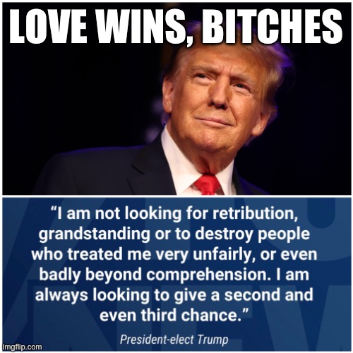 Love wins bitches | LOVE WINS, BITCHES | image tagged in trump,love wins,biden,election 2024,maga,project 25 | made w/ Imgflip meme maker