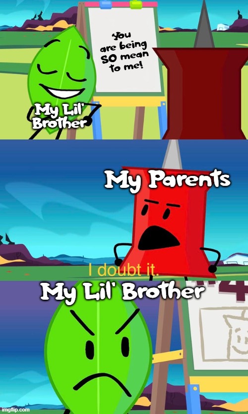 Should I call the authorities? | You are being SO mean to me! My Lil' Brother; My Parents; My Lil' Brother | image tagged in bfdi i doubt it | made w/ Imgflip meme maker