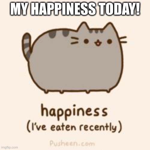 pusheen's happiness | MY HAPPINESS TODAY! | image tagged in cute pusheen | made w/ Imgflip meme maker