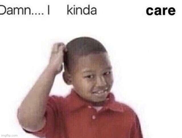 damn i kinda dont care | image tagged in damn i kinda dont care | made w/ Imgflip meme maker