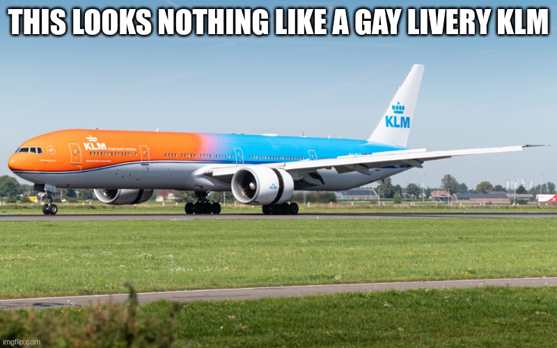 klm | THIS LOOKS NOTHING LIKE A GAY LIVERY KLM | image tagged in klm | made w/ Imgflip meme maker