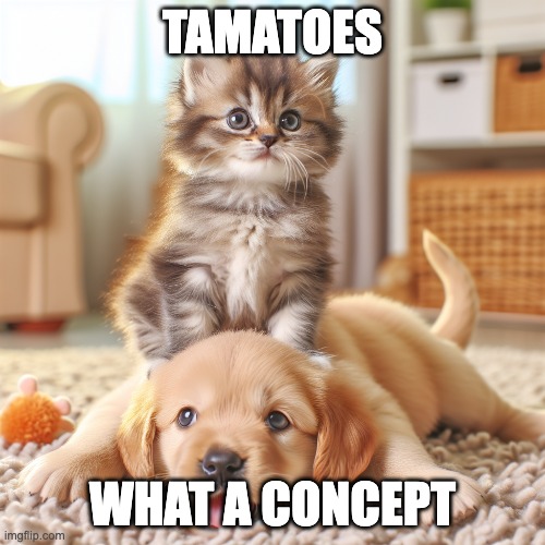 kitten | TAMATOES; WHAT A CONCEPT | image tagged in ai | made w/ Imgflip meme maker
