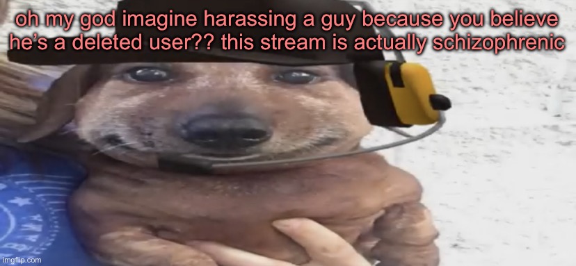 another drama that could have been prevented with common sense | oh my god imagine harassing a guy because you believe he’s a deleted user?? this stream is actually schizophrenic | image tagged in chucklenuts | made w/ Imgflip meme maker