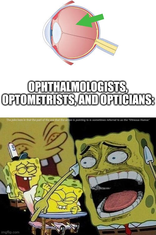 Peak Humor. | OPHTHALMOLOGISTS, OPTOMETRISTS, AND OPTICIANS:; The joke here is that the part of the eye that the arrow is pointing to is sometimes referred to as the "Vitreous Humor." | image tagged in spongebob laughing hysterically,eye,biology | made w/ Imgflip meme maker