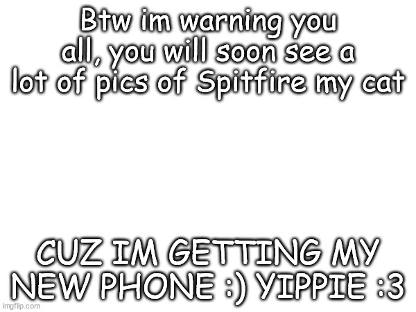 Yippe :3 | Btw im warning you all, you will soon see a lot of pics of Spitfire my cat; CUZ IM GETTING MY NEW PHONE :) YIPPIE :3 | image tagged in yay kitty | made w/ Imgflip meme maker