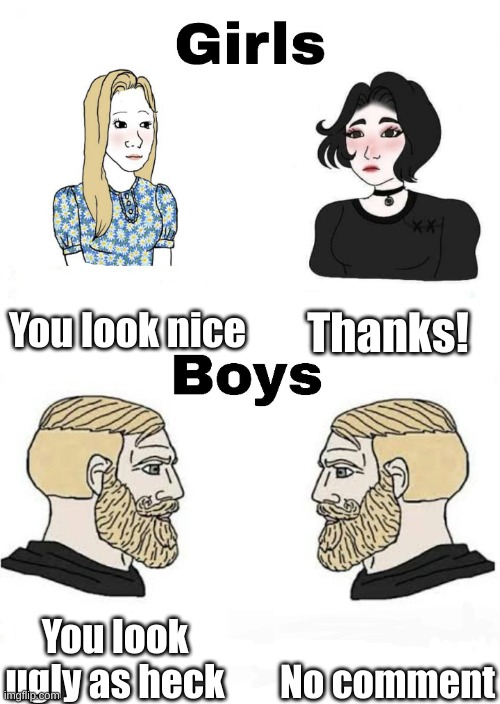 Dude... True | You look nice; Thanks! No comment; You look ugly as heck | image tagged in girls vs boys | made w/ Imgflip meme maker