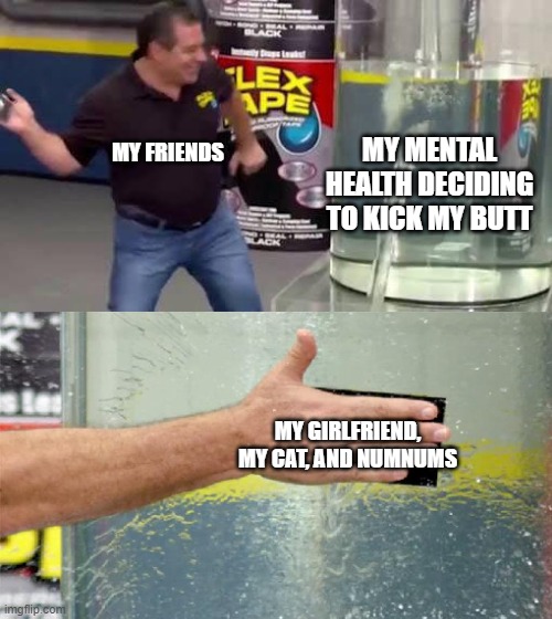 Flex Tape | MY FRIENDS; MY MENTAL HEALTH DECIDING TO KICK MY BUTT; MY GIRLFRIEND, MY CAT, AND NUMNUMS | image tagged in flex tape | made w/ Imgflip meme maker