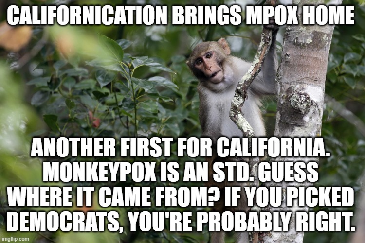 Californication Brings MPOX Home | CALIFORNICATION BRINGS MPOX HOME; ANOTHER FIRST FOR CALIFORNIA.
MONKEYPOX IS AN STD. GUESS WHERE IT CAME FROM? IF YOU PICKED DEMOCRATS, YOU'RE PROBABLY RIGHT. | image tagged in californication brings mpox home | made w/ Imgflip meme maker