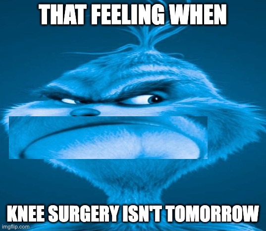 Blue Grinch | THAT FEELING WHEN; KNEE SURGERY ISN'T TOMORROW | image tagged in blue grinch,memes,funny,knee surgery,wtf,oh wow are you actually reading these tags | made w/ Imgflip meme maker