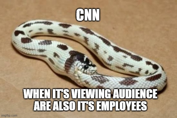 Snake Eating Itself | CNN WHEN IT'S VIEWING AUDIENCE ARE ALSO IT'S EMPLOYEES | image tagged in snake eating itself | made w/ Imgflip meme maker