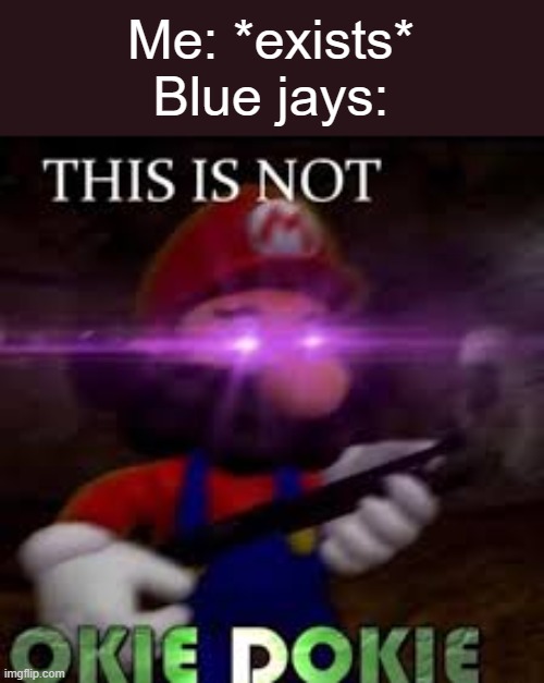 Why must the blue jays constantly scream at me | Me: *exists*
Blue jays: | image tagged in this is not okie dokie,blue jays,birds,screaming,mario,why | made w/ Imgflip meme maker