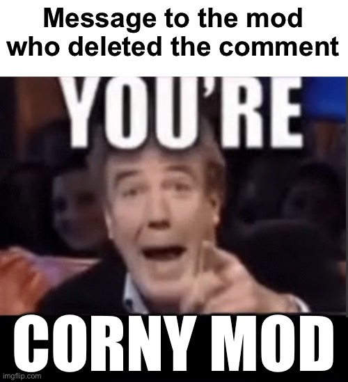 You’re underage user | Message to the mod who deleted the comment CORNY MOD | image tagged in you re underage user | made w/ Imgflip meme maker