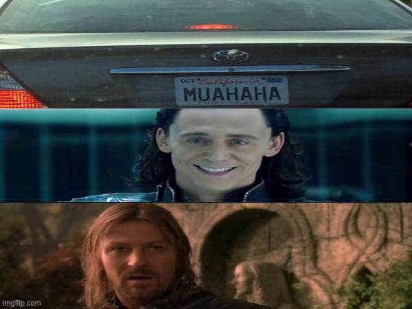 No Words | image tagged in license plate,loki,boromir | made w/ Imgflip meme maker