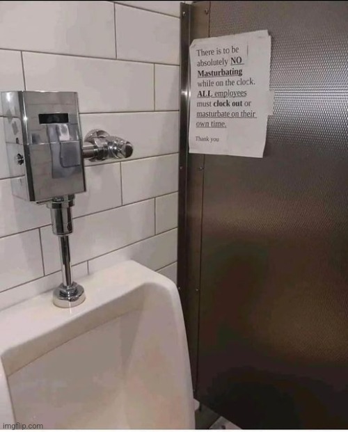 toilet | image tagged in toilet | made w/ Imgflip meme maker