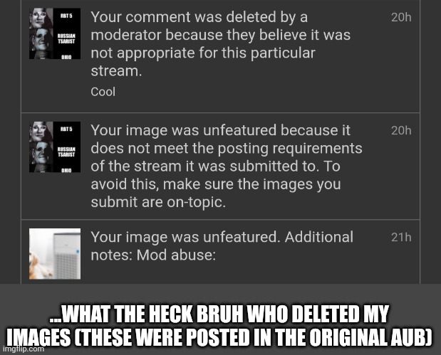 ...WHAT THE HECK BRUH WHO DELETED MY IMAGES (THESE WERE POSTED IN THE ORIGINAL AUB) | made w/ Imgflip meme maker