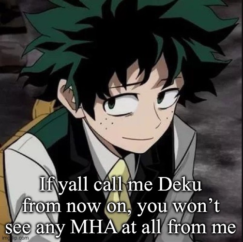 If yall call me Deku from now on, you won’t see any MHA at all from me | image tagged in smug deku | made w/ Imgflip meme maker