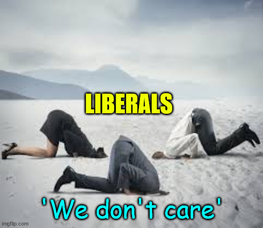 ostrich head in sand | LIBERALS 'We don't care' | image tagged in ostrich head in sand | made w/ Imgflip meme maker