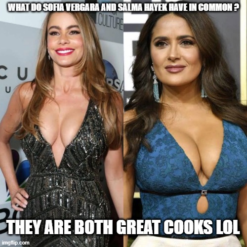 What do they have in common ? | WHAT DO SOFIA VERGARA AND SALMA HAYEK HAVE IN COMMON ? THEY ARE BOTH GREAT COOKS LOL | image tagged in celebrity | made w/ Imgflip meme maker