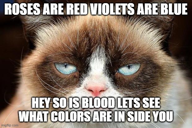 cats love language be like | ROSES ARE RED VIOLETS ARE BLUE; HEY SO IS BLOOD LETS SEE WHAT COLORS ARE IN SIDE YOU | image tagged in memes,grumpy cat not amused,grumpy cat | made w/ Imgflip meme maker