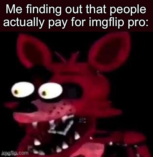 Foxy being surprised asf | Me finding out that people actually pay for imgflip pro: | image tagged in foxy being surprised asf | made w/ Imgflip meme maker