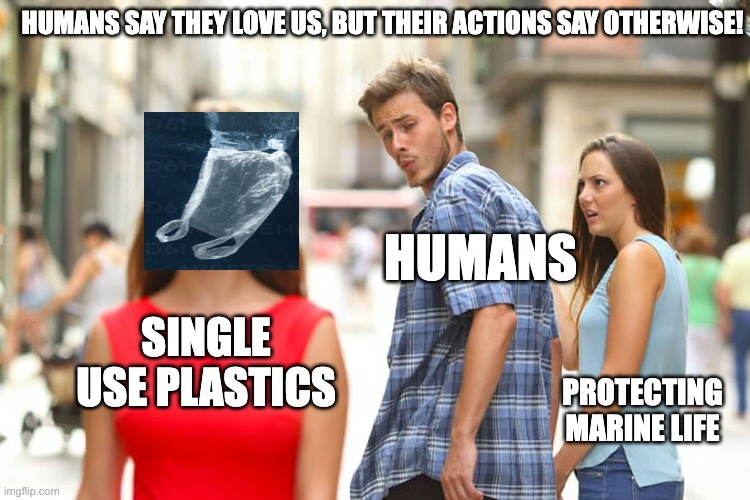 Humans say they care about marine life, but their actions tell a different story! | HUMANS SAY THEY LOVE US, BUT THEIR ACTIONS SAY OTHERWISE! HUMANS; SINGLE USE PLASTICS; PROTECTING MARINE LIFE | image tagged in memes,distracted boyfriend | made w/ Imgflip meme maker