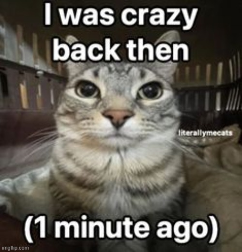 crazy?  i was crazy once- | made w/ Imgflip meme maker