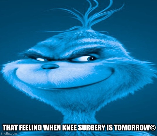 yall is not allowed to use this meme anymore cuz i copyrighted it :) | THAT FEELING WHEN KNEE SURGERY IS TOMORROW© | image tagged in blue grinch | made w/ Imgflip meme maker