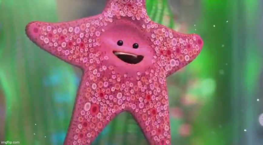 Starfish | image tagged in starfish | made w/ Imgflip meme maker