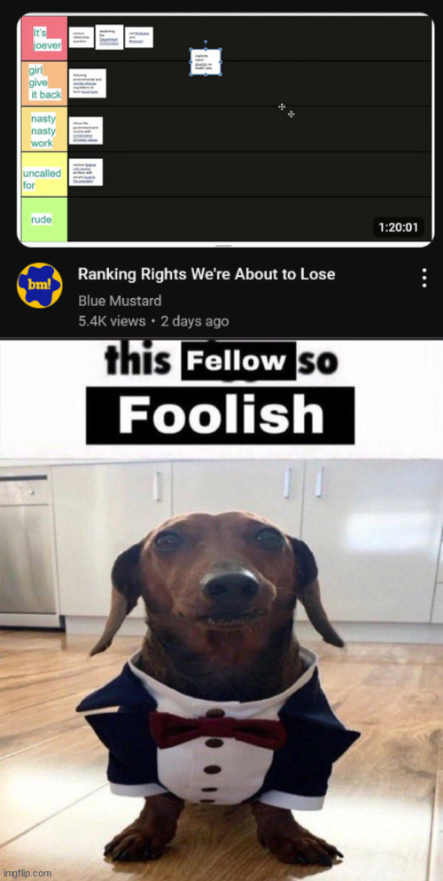 image tagged in this fellow is so foolish | made w/ Imgflip meme maker