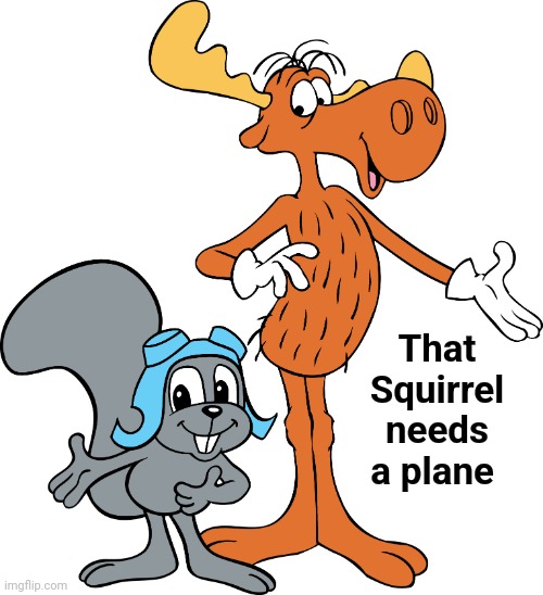 Rocky and Bullwinkle | That Squirrel needs a plane | image tagged in rocky and bullwinkle | made w/ Imgflip meme maker